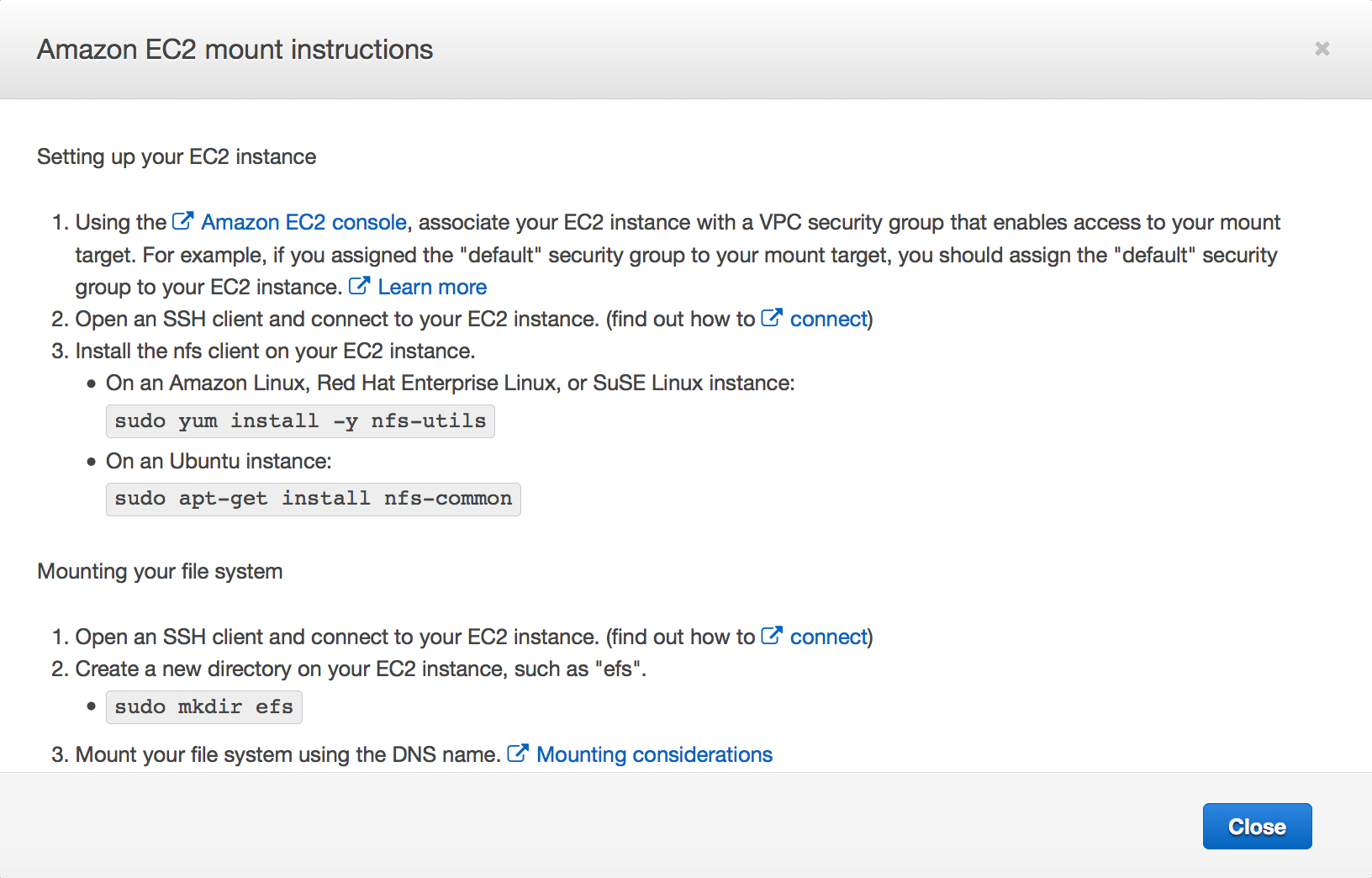 efs command line