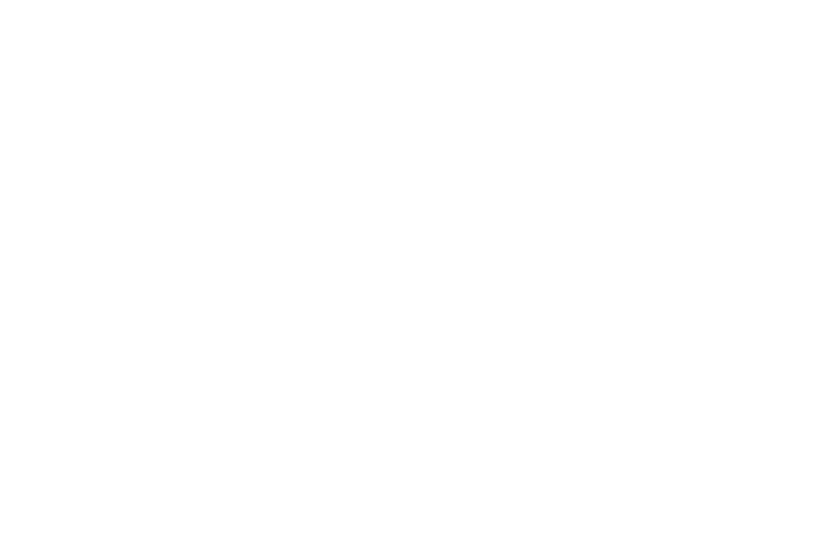 Virtasant