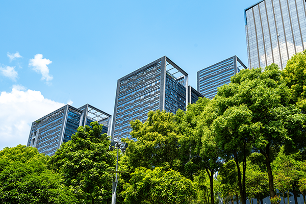 Skyline with trees